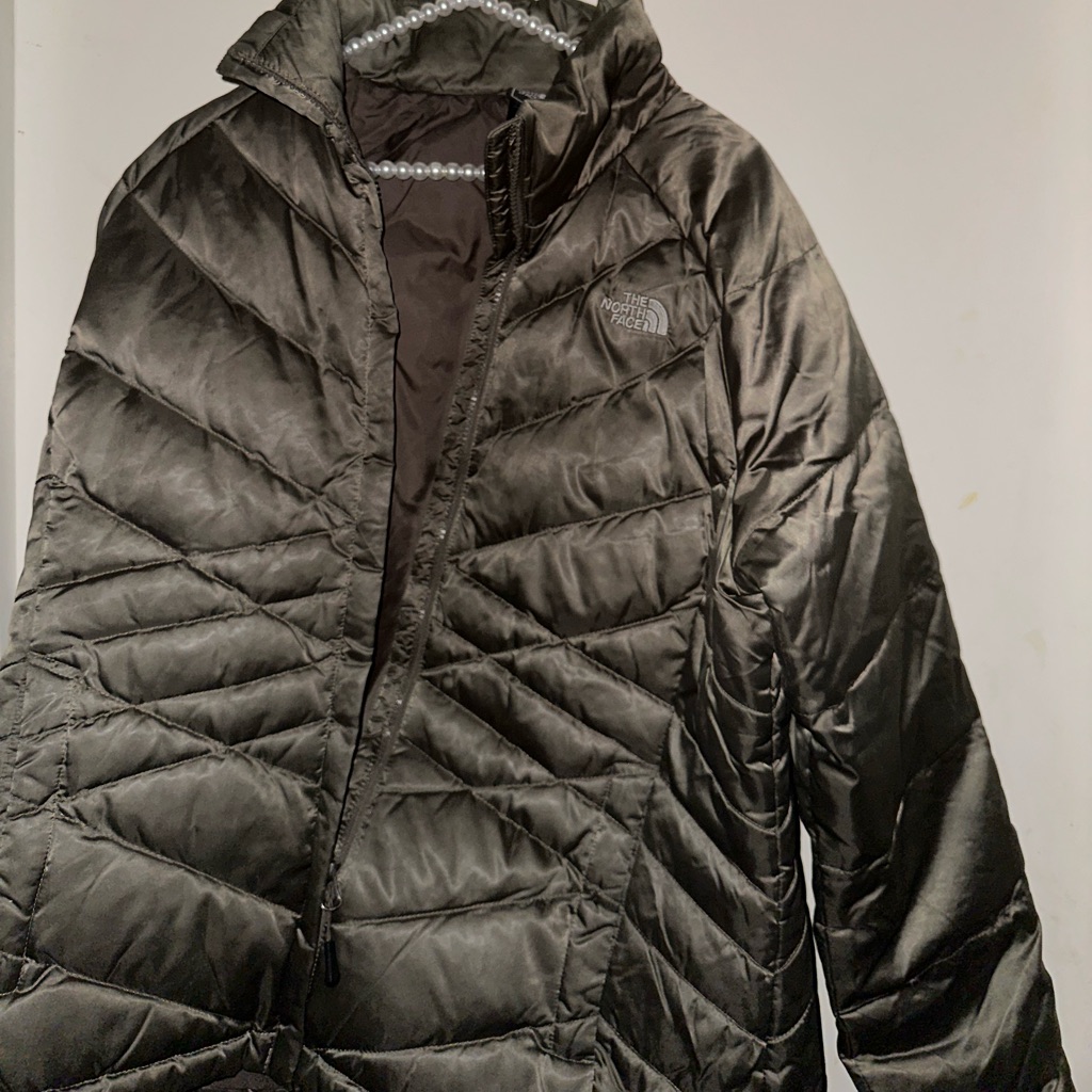 Goose Down Puffer